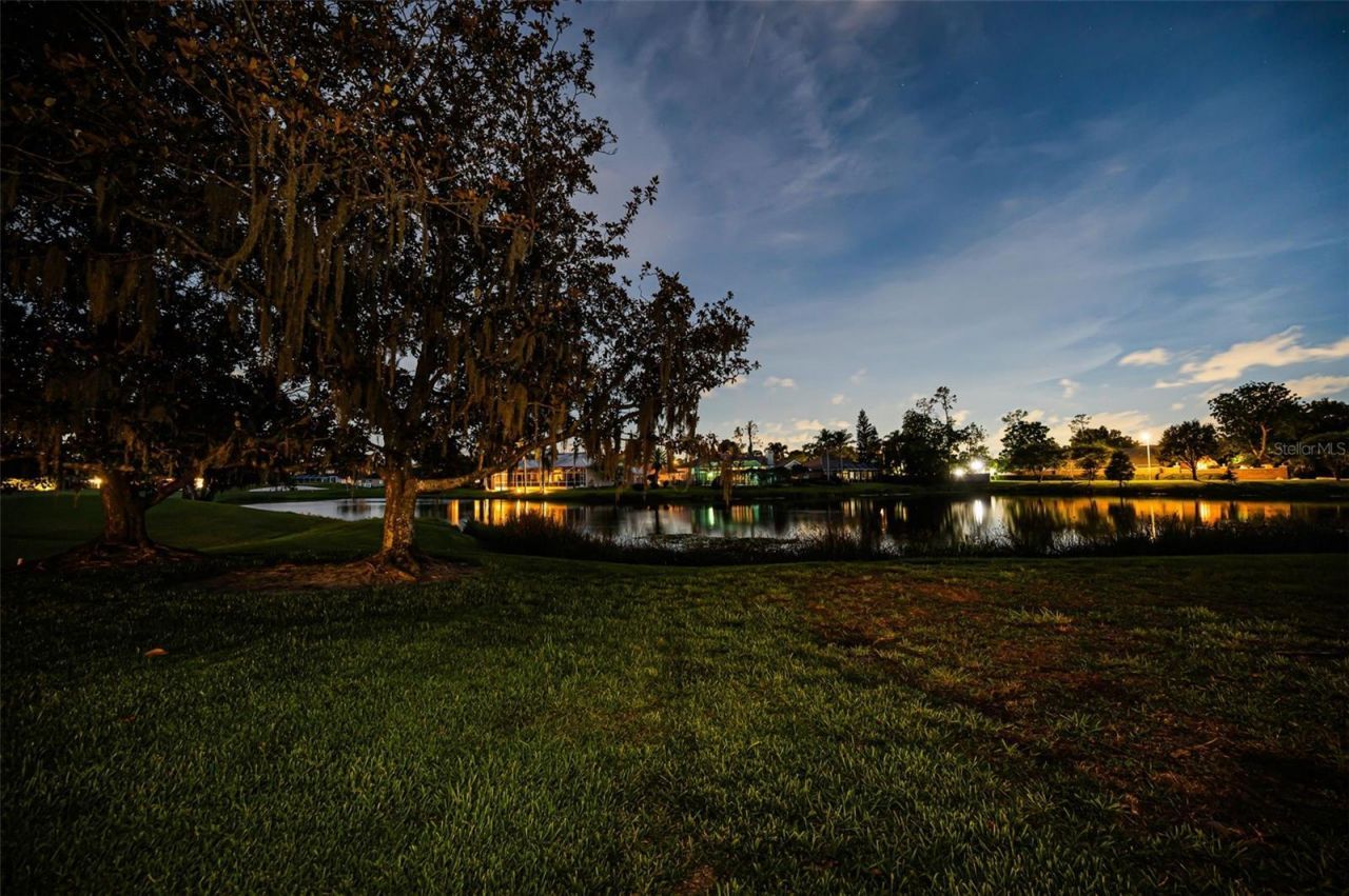 4995 Camberley Lane, Oldsmar, FL 34677 Photo