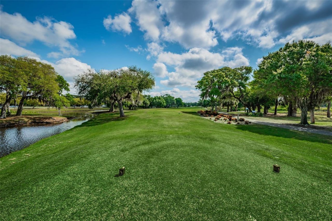 4995 Camberley Lane, Oldsmar, FL 34677 Photo