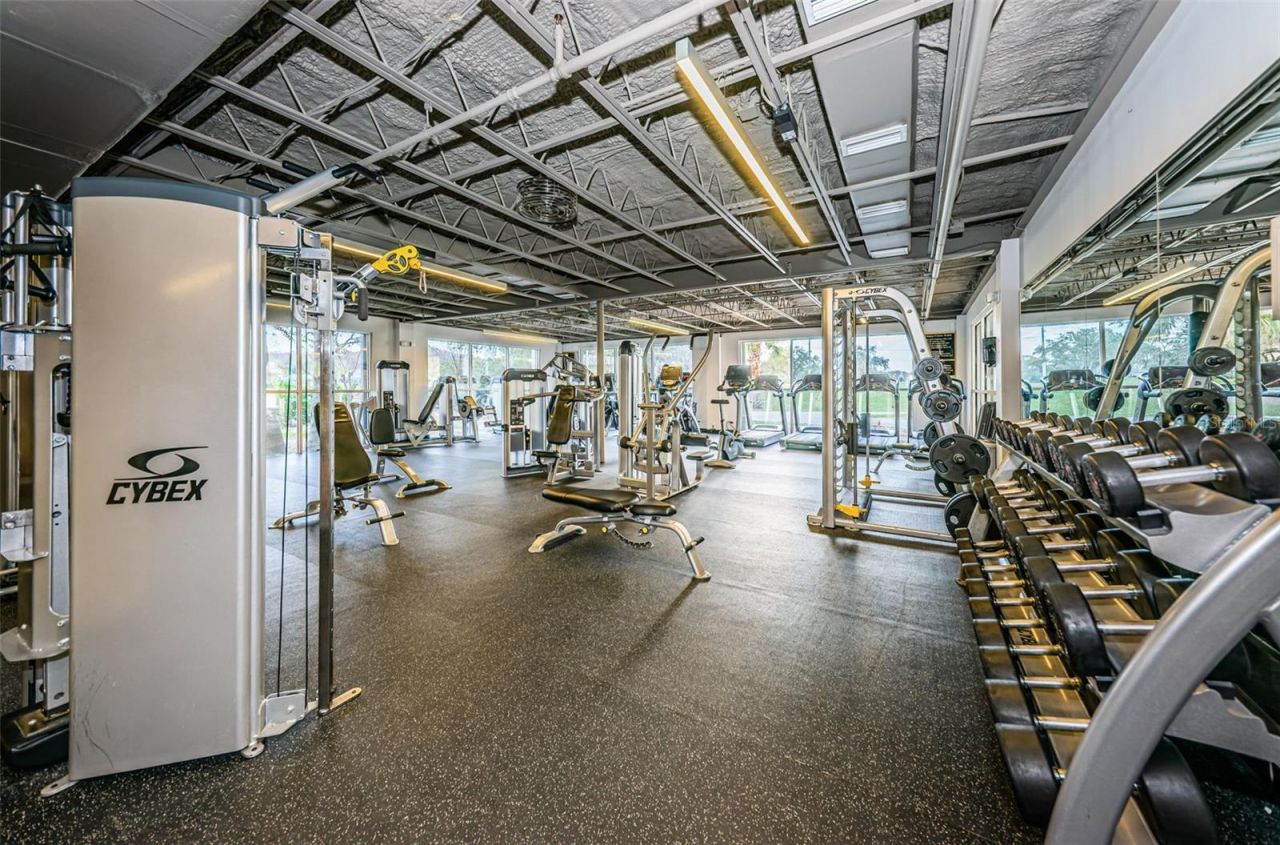 4995 Camberley Lane, Oldsmar, FL 34677 Photo