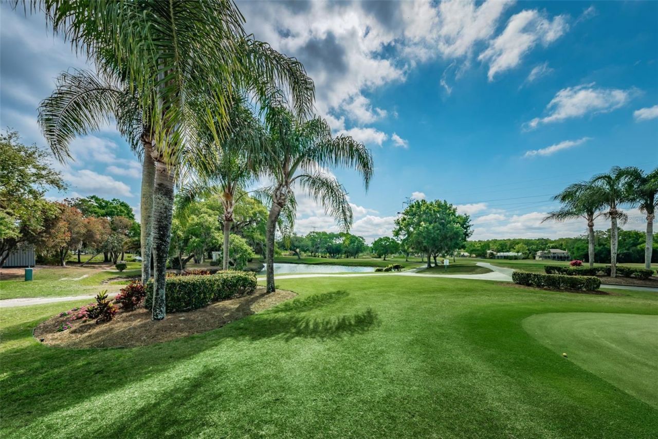 4995 Camberley Lane, Oldsmar, FL 34677 Photo