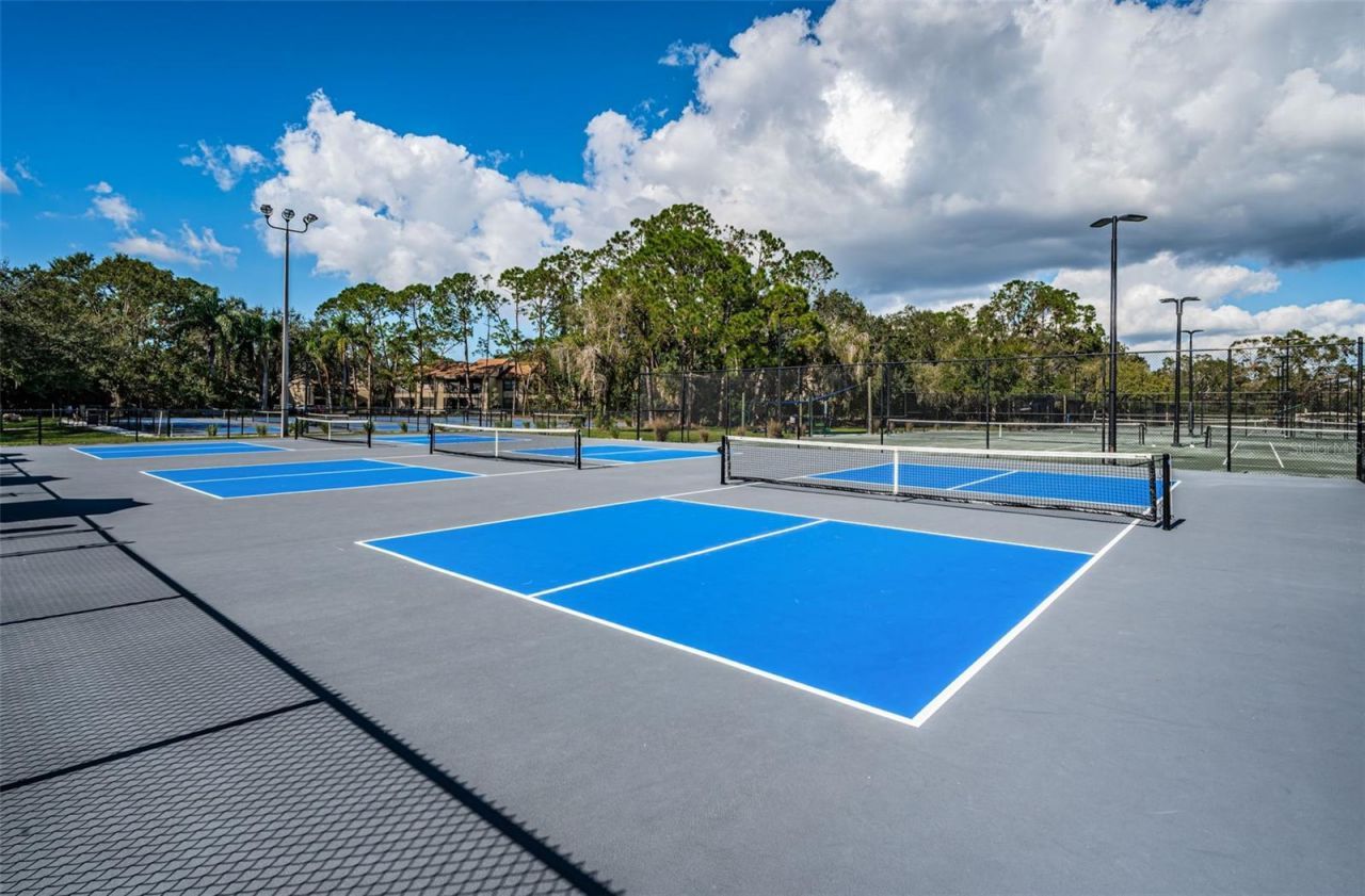 4995 Camberley Lane, Oldsmar, FL 34677 Photo