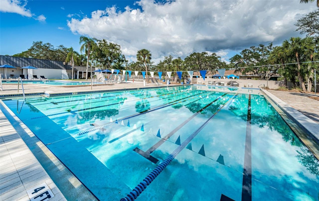 4995 Camberley Lane, Oldsmar, FL 34677 Photo