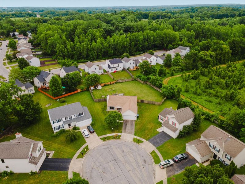 7393 Winchester Cathedral Court, Canal Winchester, OH 43110 Photo 4