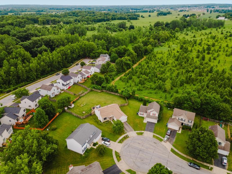7393 Winchester Cathedral Court, Canal Winchester, OH 43110 Photo 49