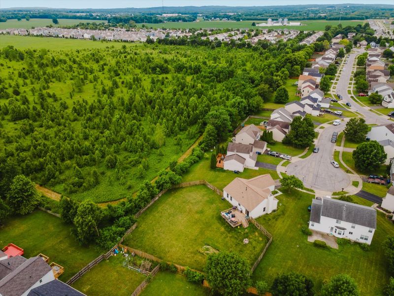 7393 Winchester Cathedral Court, Canal Winchester, OH 43110 Photo 51