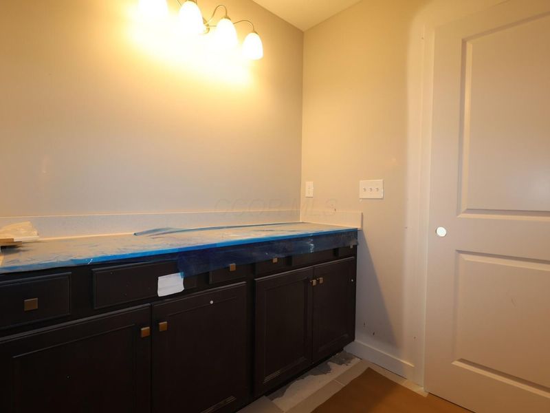345 Royal Fern Lane, Lewis Center, OH 43035 Photo 11