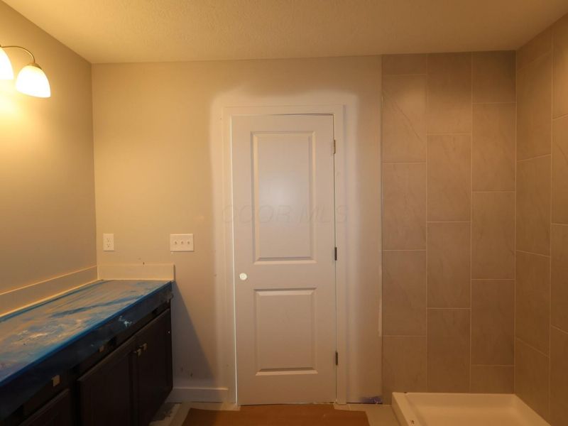 345 Royal Fern Lane, Lewis Center, OH 43035 Photo 12