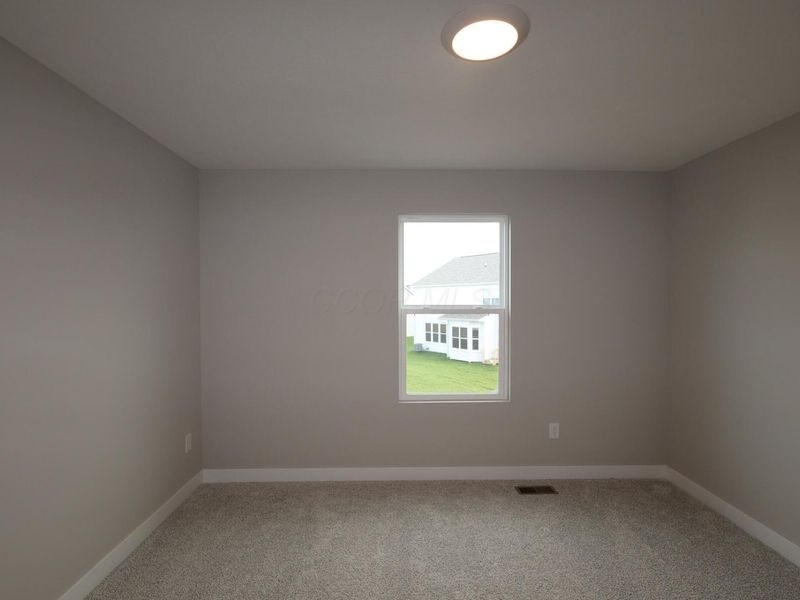 345 Royal Fern Lane, Lewis Center, OH 43035 Photo 19