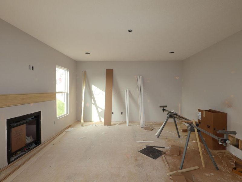 345 Royal Fern Lane, Lewis Center, OH 43035 Photo 3