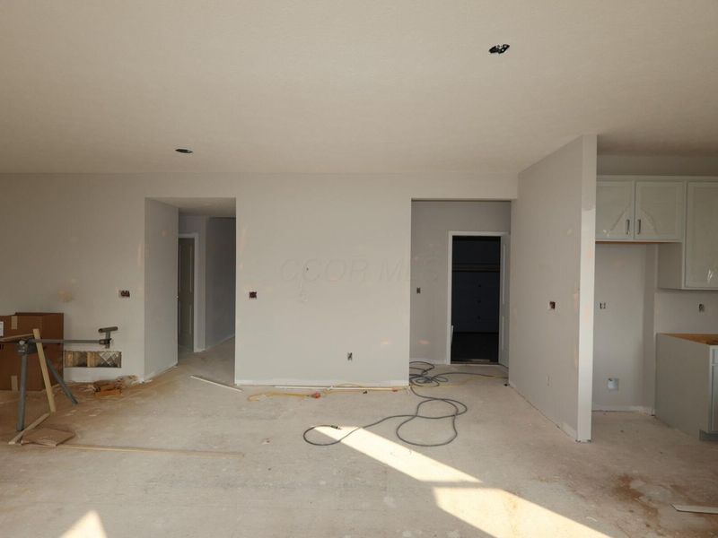 345 Royal Fern Lane, Lewis Center, OH 43035 Photo 5