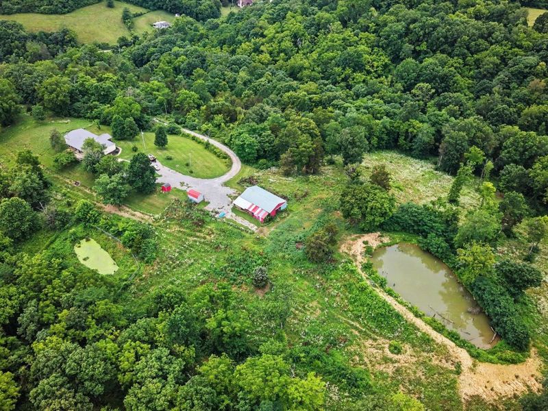 1365 Little Sugar Creek Road, Warsaw, KY 41095 Photo 31