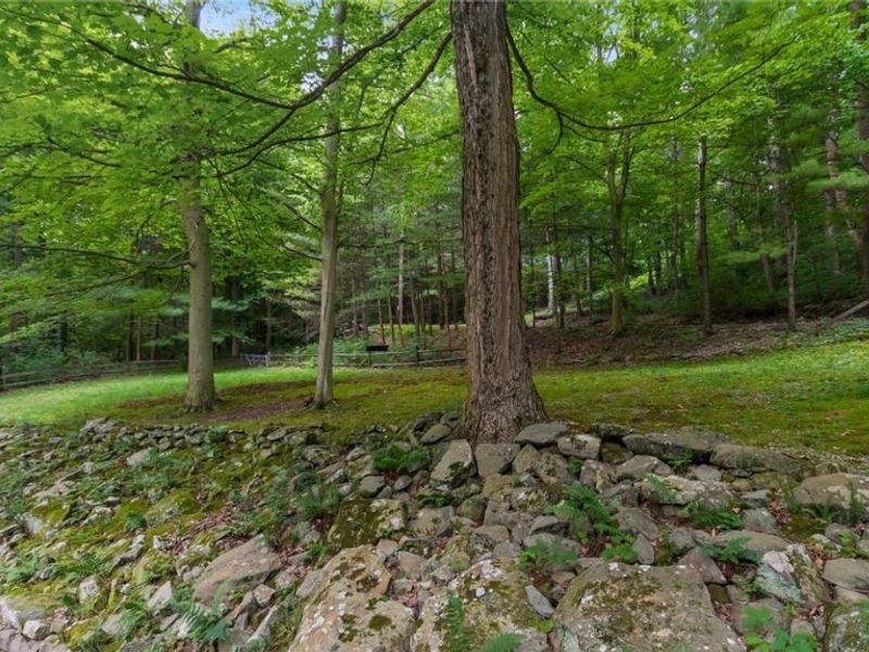 72845 Old Twenty One Road, Kimbolton, OH 43749 Photo 31