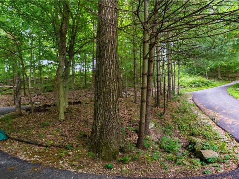 72845 Old Twenty One Road, Kimbolton, OH 43749 Photo 32