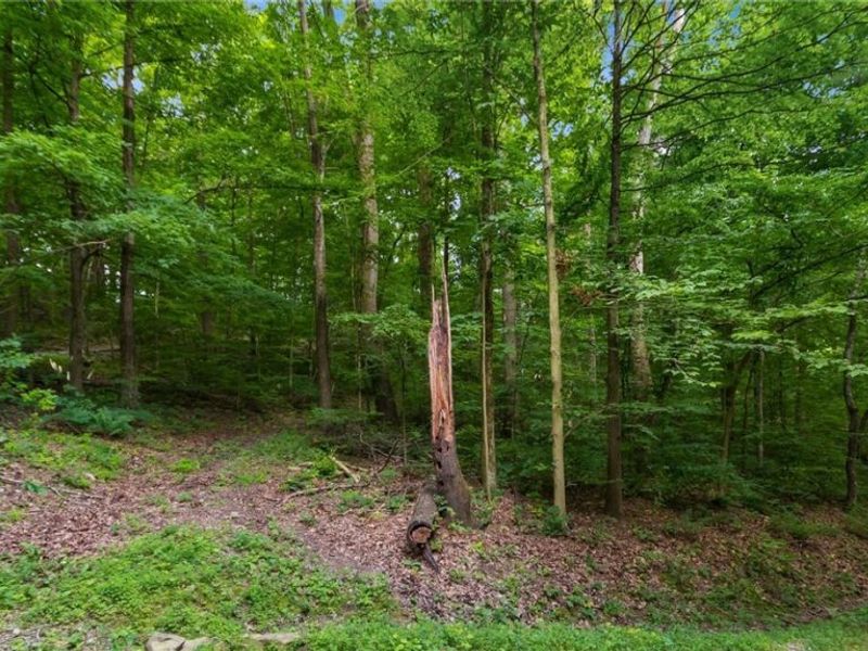 72845 Old Twenty One Road, Kimbolton, OH 43749 Photo 33