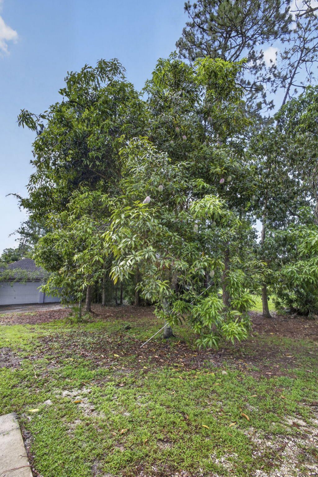 16571 78th Road N, Loxahatchee, FL 33470 Photo