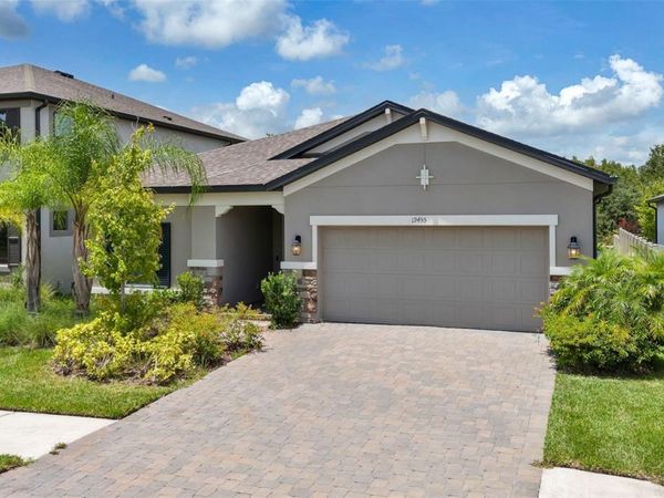 19455 REDWOOD POINT DRIVE , TAMPA, FL 33647