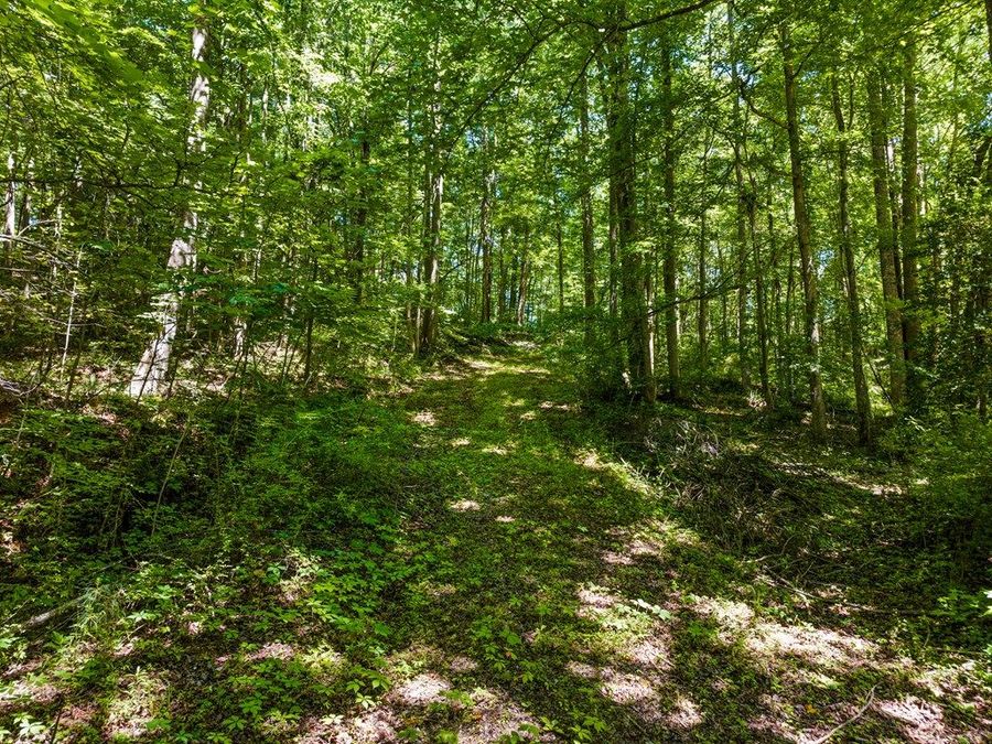 Property Image 35