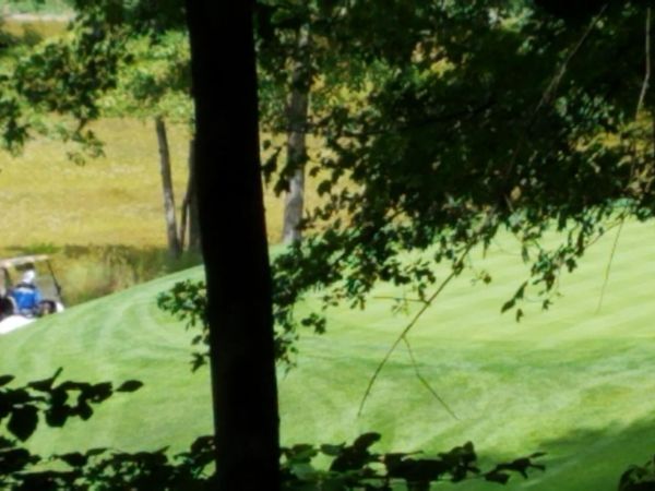 11010 Shawnee Trail, Unit #229, Stanwood, MI 49346