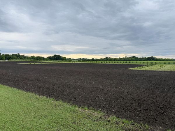 TBD County Road 15 , Minto, ND 58261