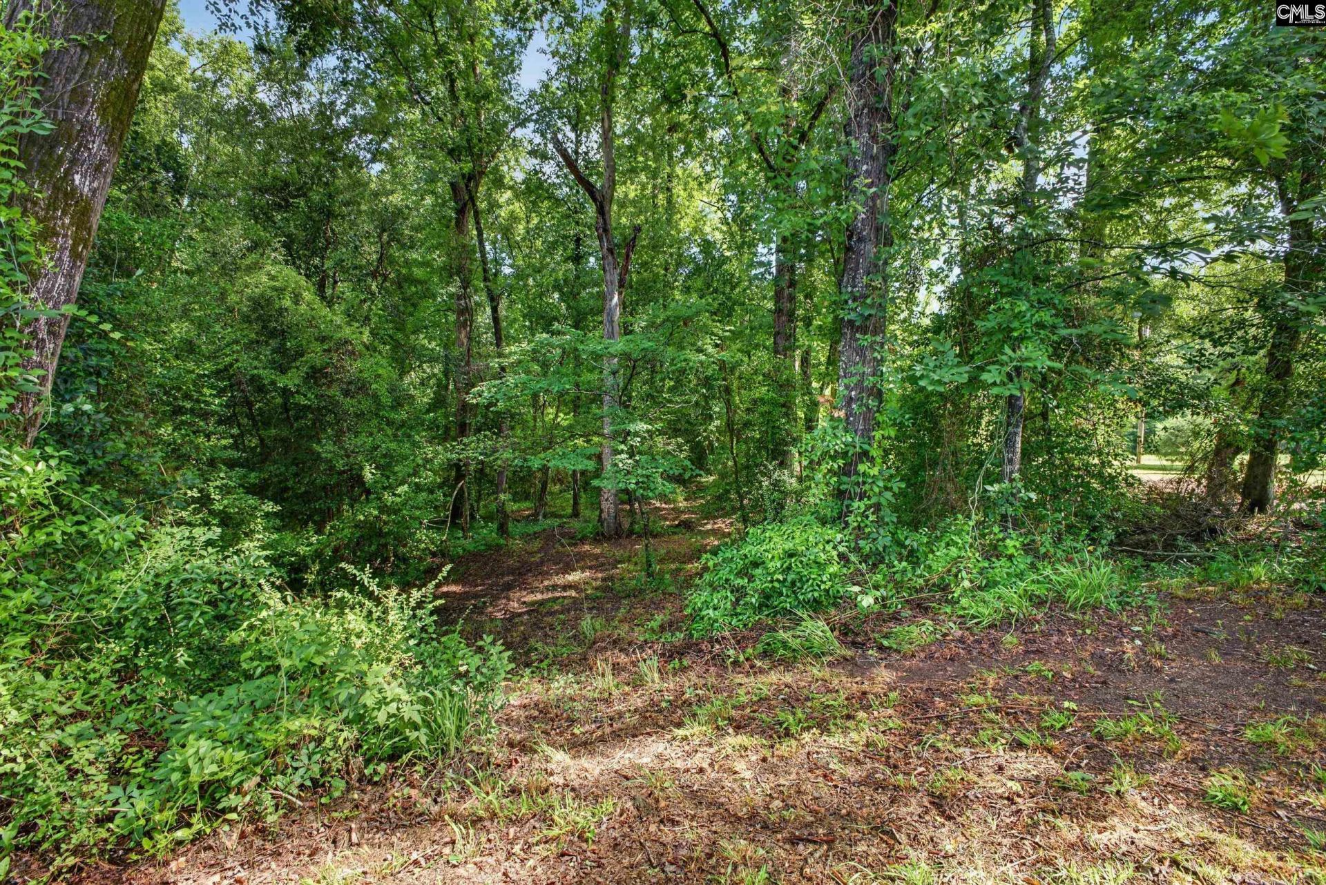 1611 Dixired Road Photo 23