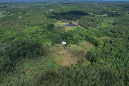 1611 Dixired Road photo 4
