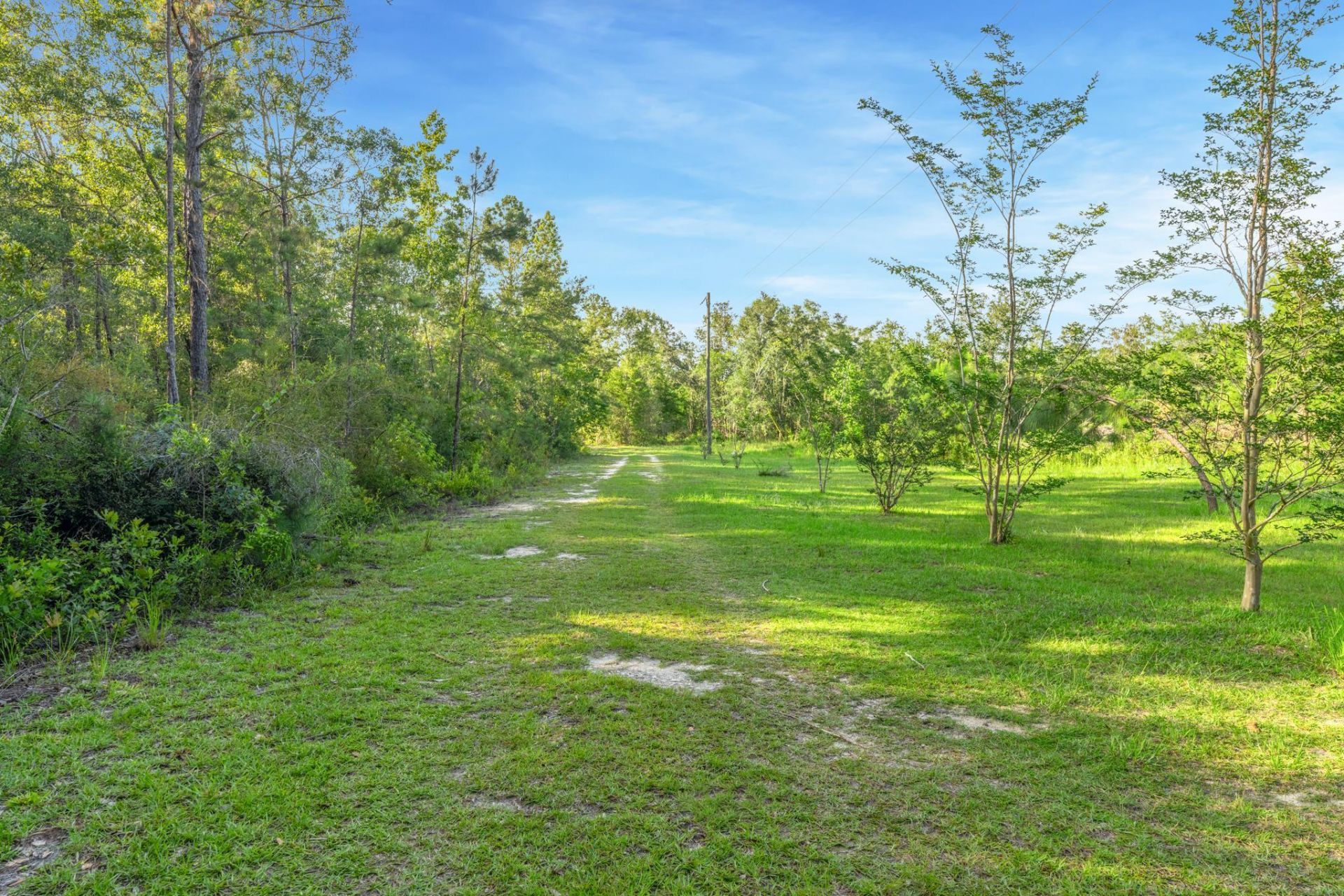 1495 Juniper Creek Road, Quincy, FL 32351 Photo