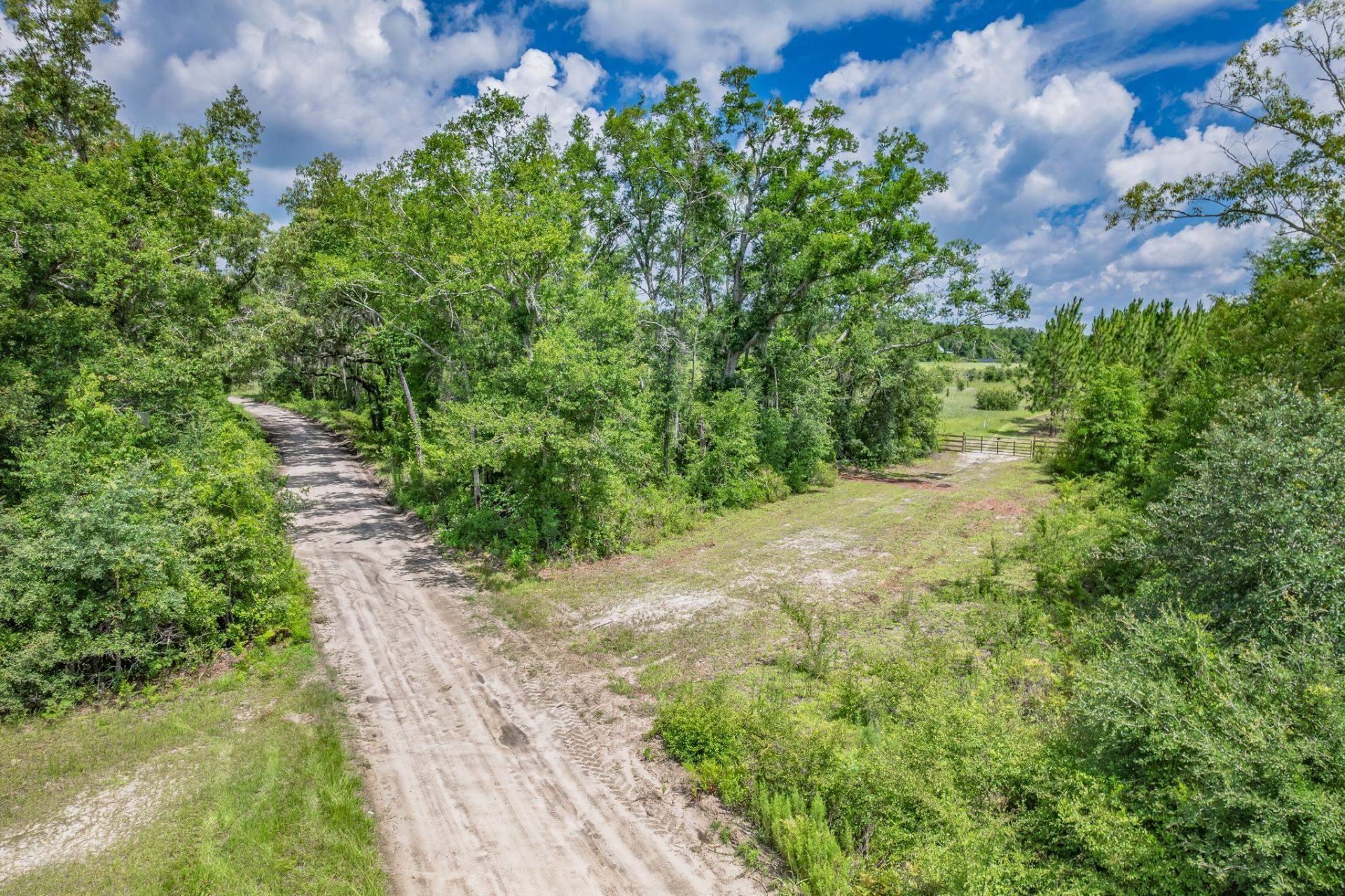 Xxx NE Hickory Grove Road , Pinetta, FL 32350 Photo