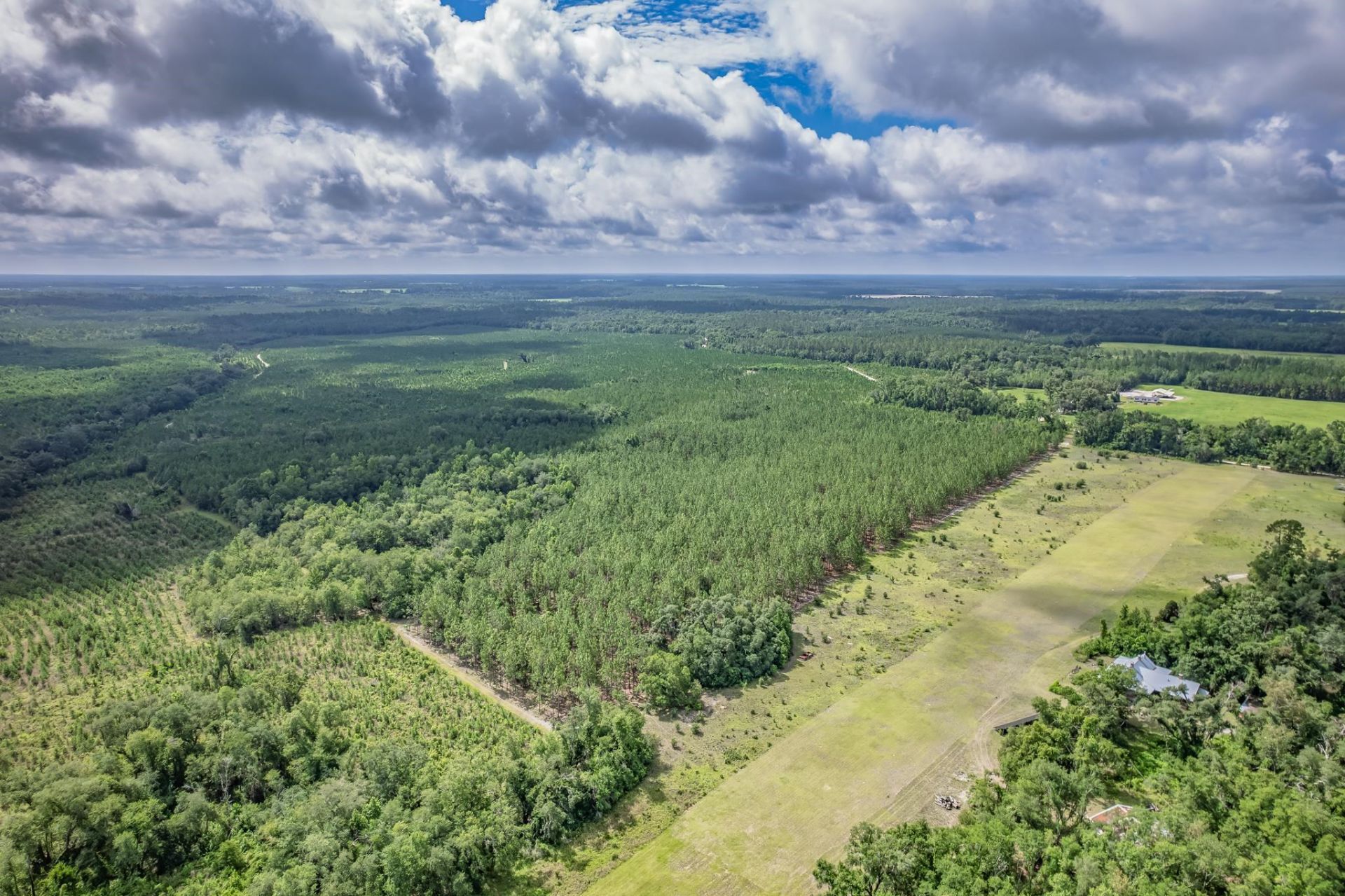Xxx NE Hickory Grove Road , Pinetta, FL 32350 Photo