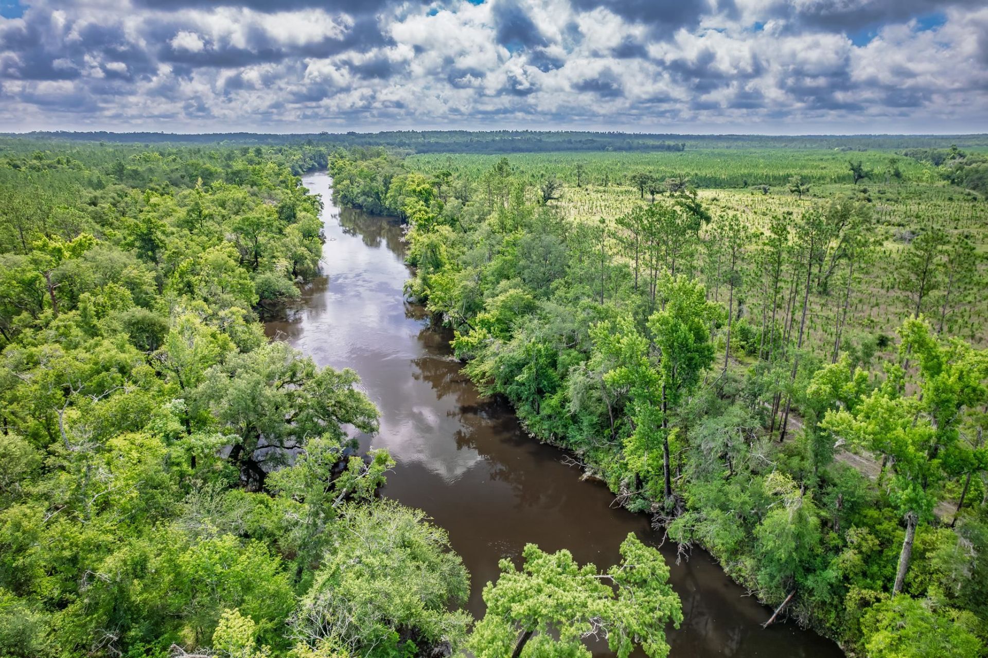 Xxx NE Hickory Grove Road , Pinetta, FL 32350 Photo