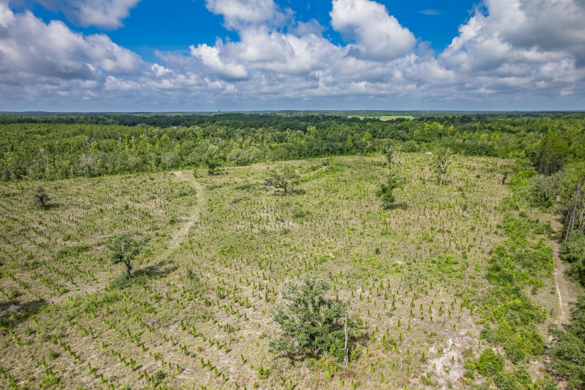 Xxx NE Hickory Grove Road , Pinetta, FL 32350 Photo