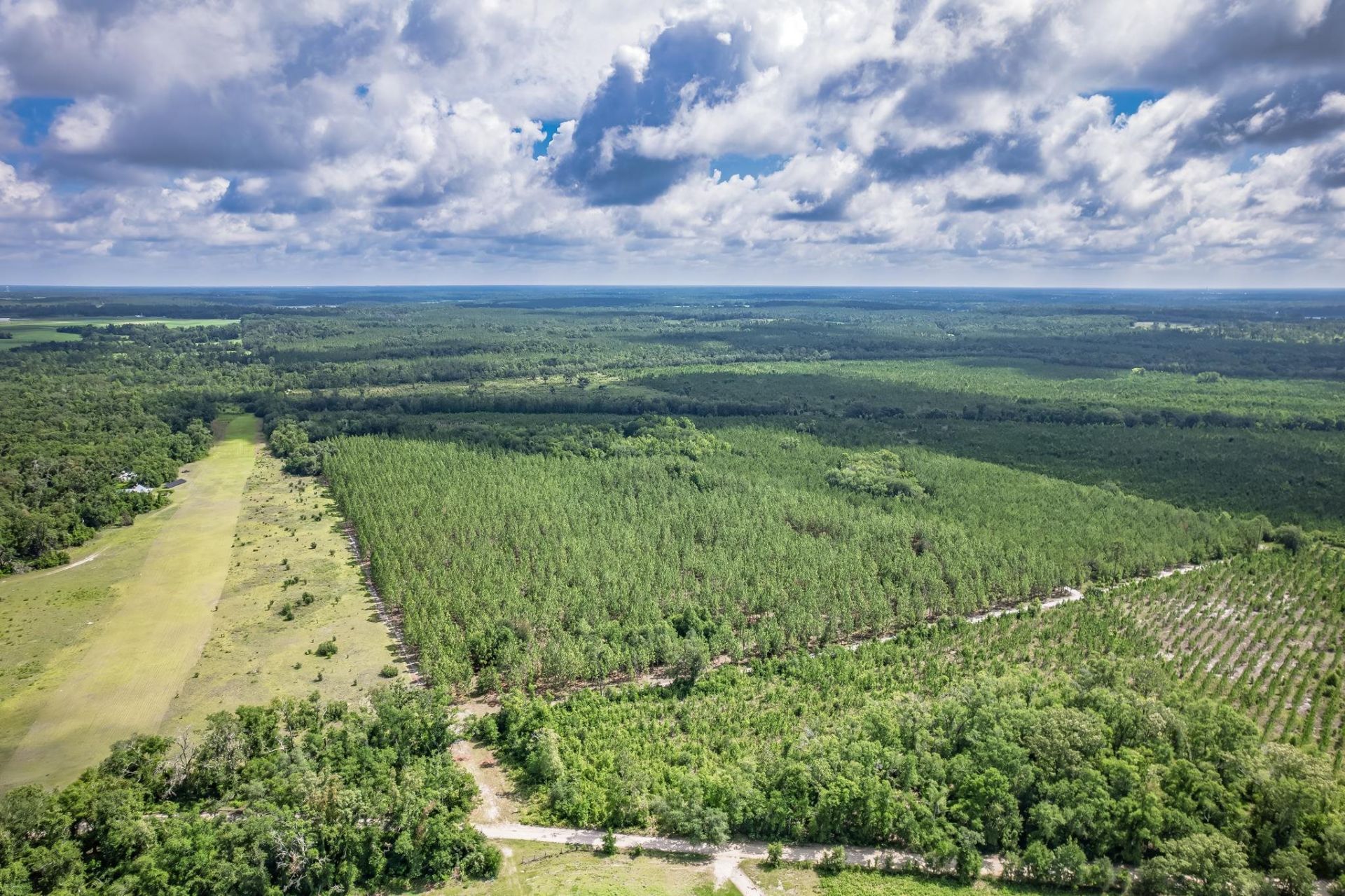 Xxx NE Hickory Grove Road , Pinetta, FL 32350 Photo