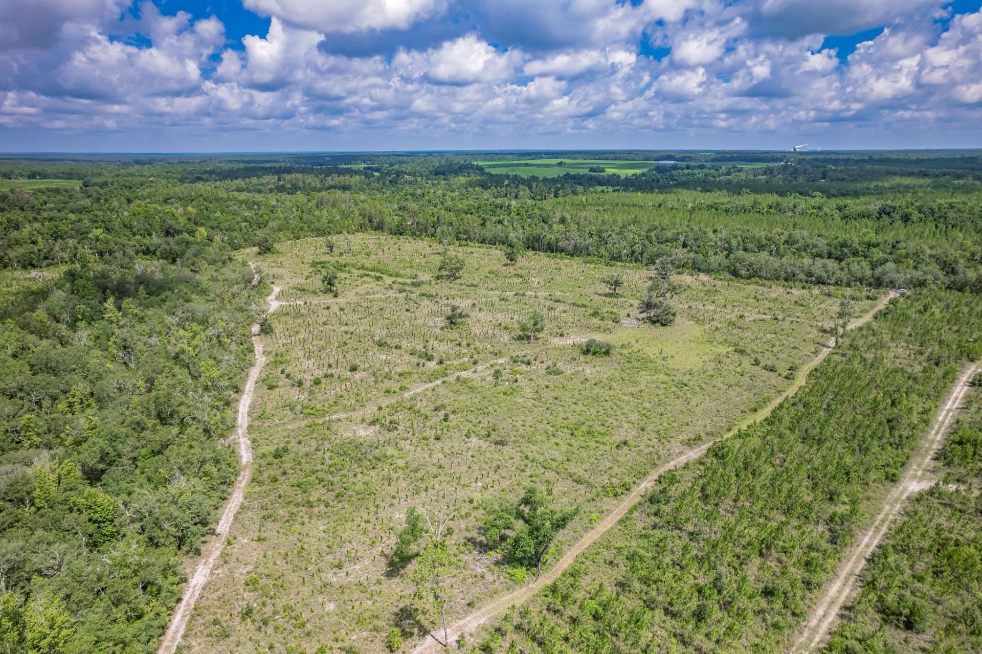 Xxx NE Hickory Grove Road , Pinetta, FL 32350 Photo