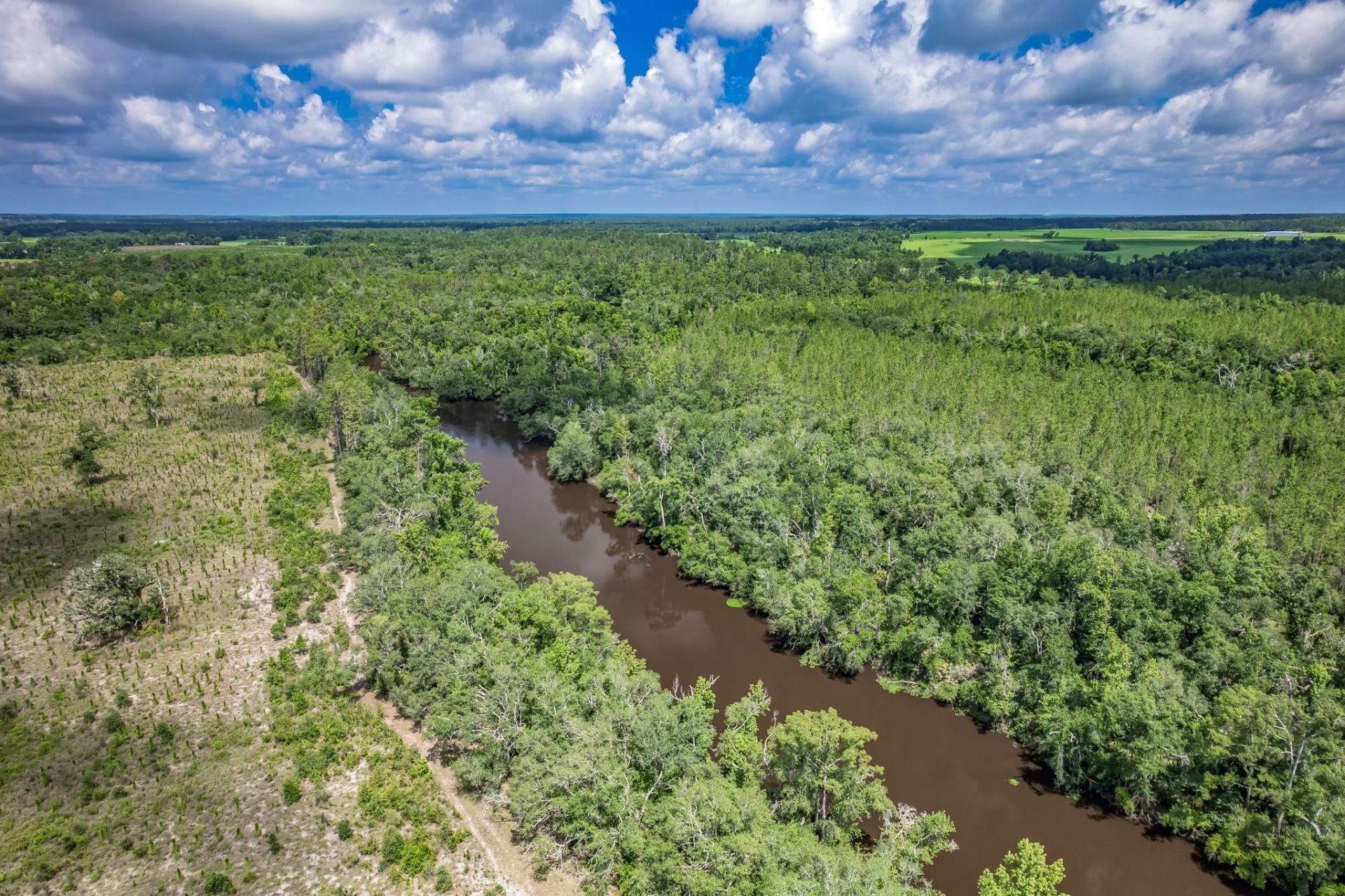 Xxx NE Hickory Grove Road , Pinetta, FL 32350 Photo