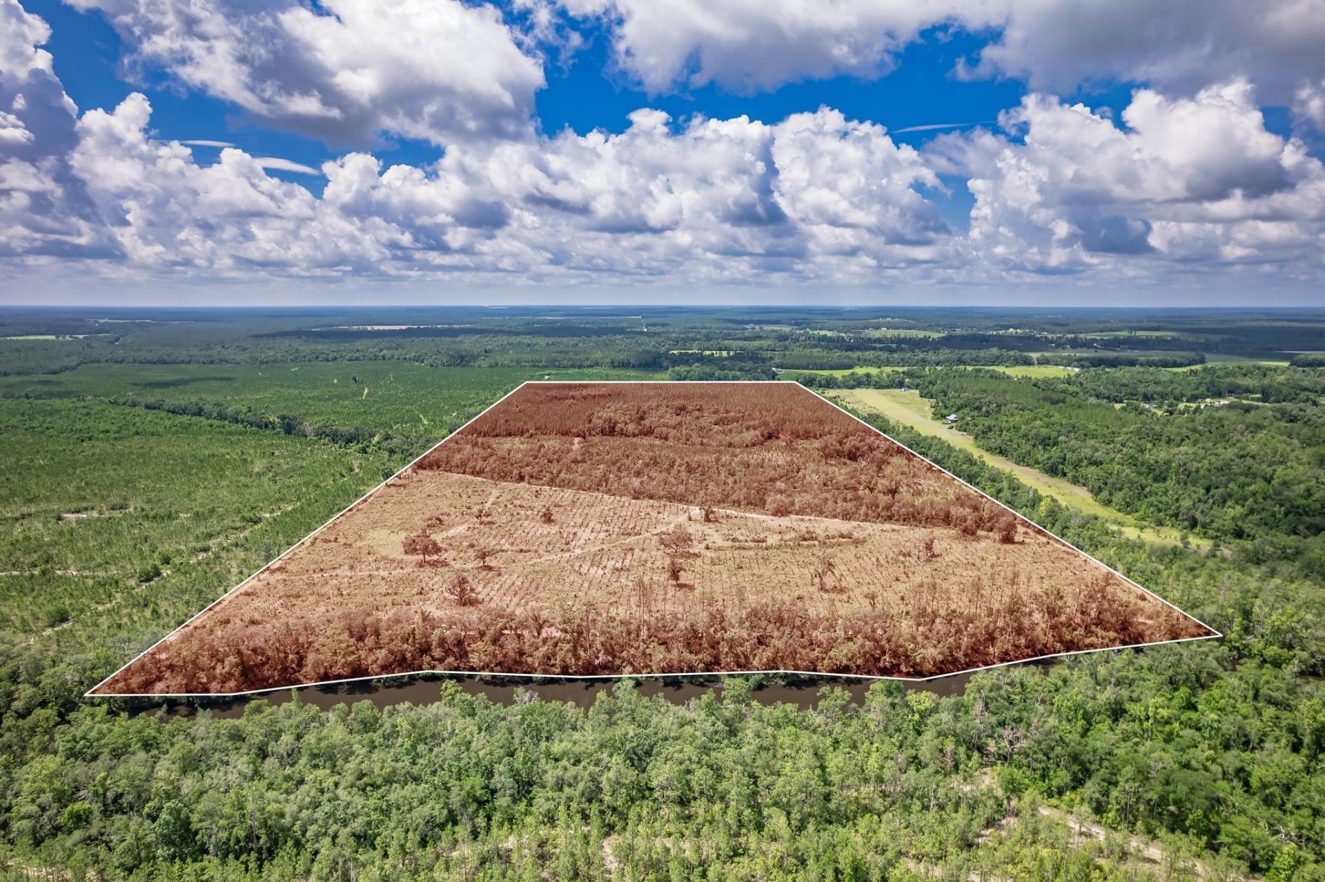 Xxx NE Hickory Grove Road , Pinetta, FL 32350 Photo