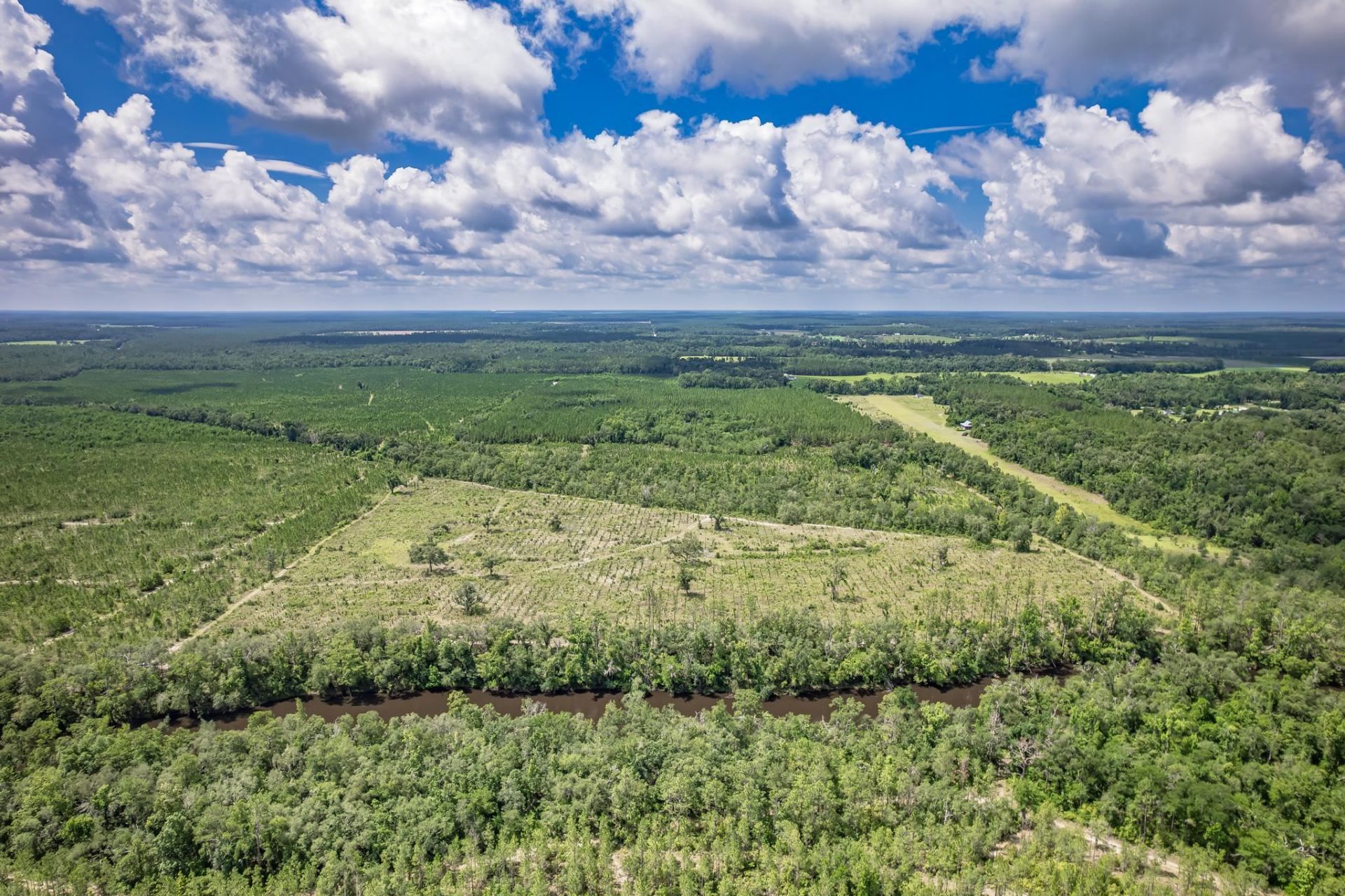 Xxx NE Hickory Grove Road , Pinetta, FL 32350 Photo