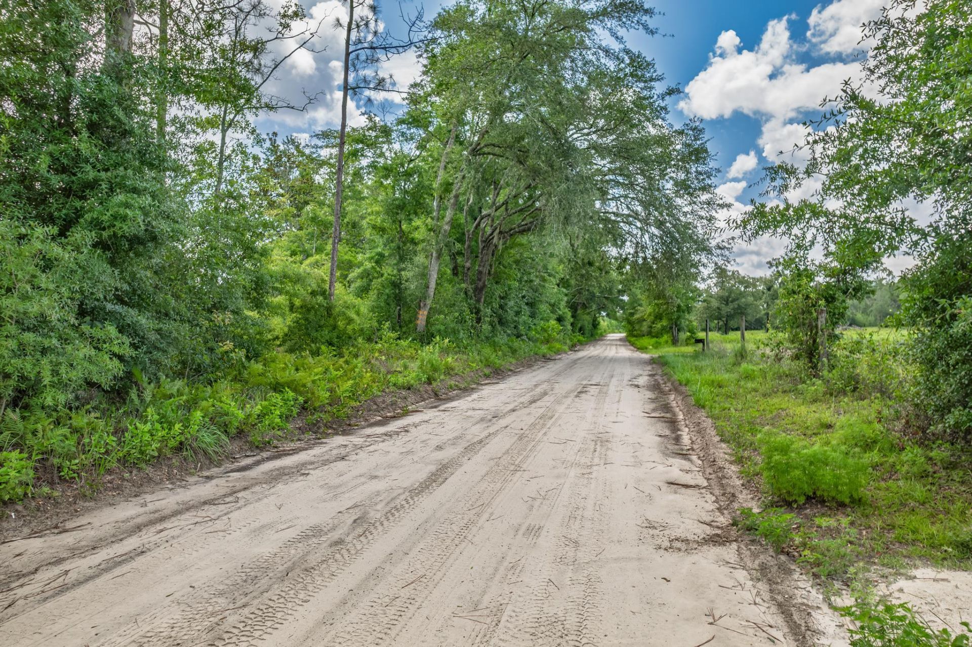Xxx NE Hickory Grove Road , Pinetta, FL 32350 Photo