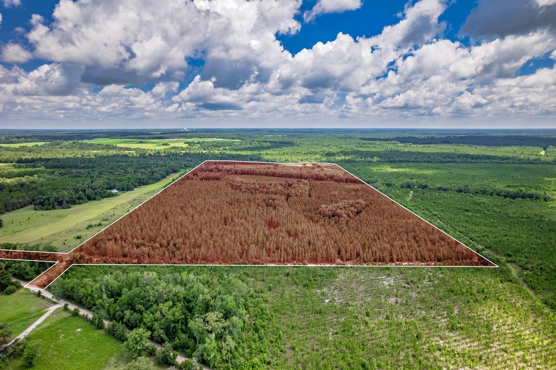 Xxx NE Hickory Grove Road , Pinetta, FL 32350 Photo