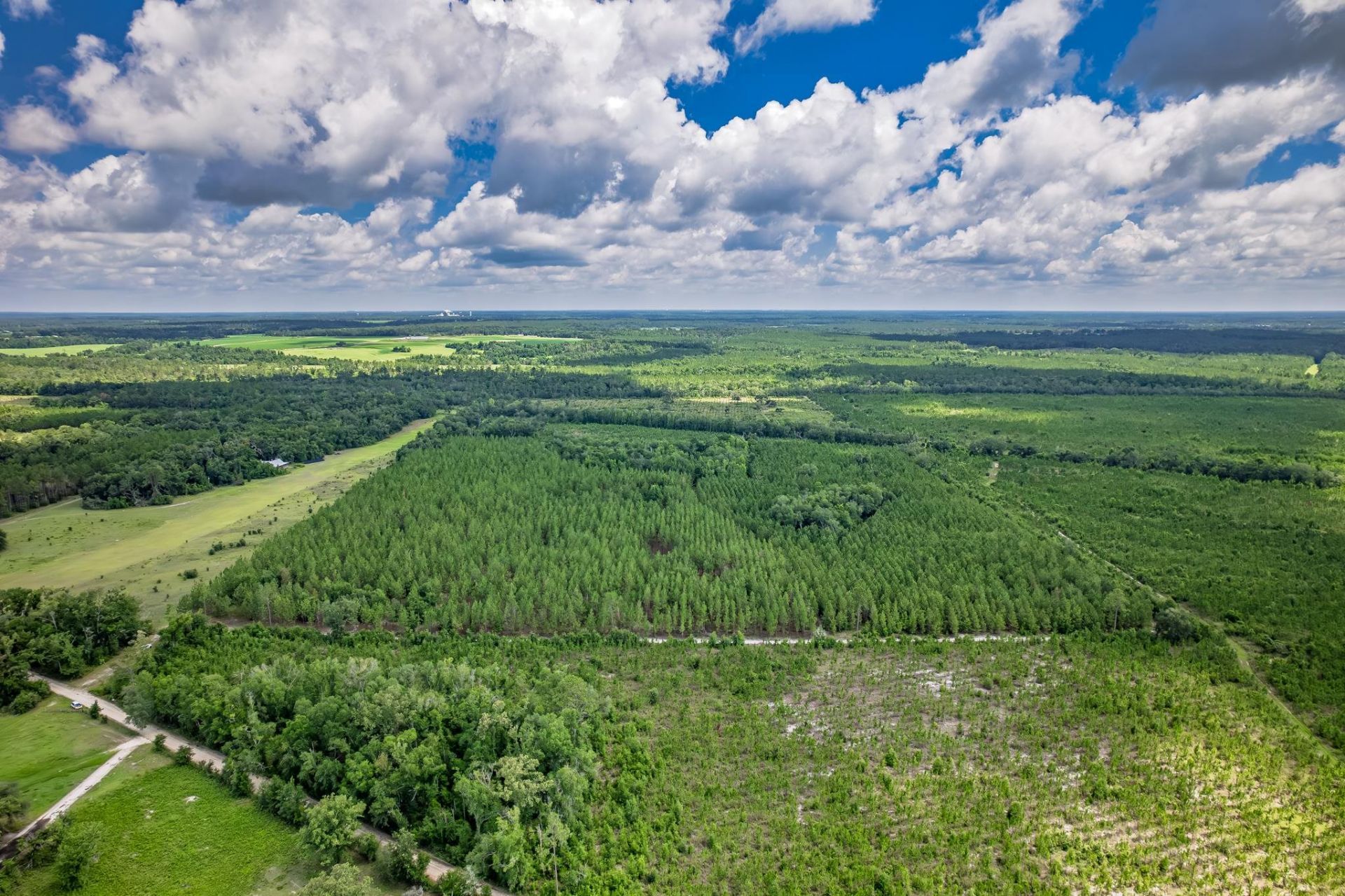 Xxx NE Hickory Grove Road , Pinetta, FL 32350 Photo