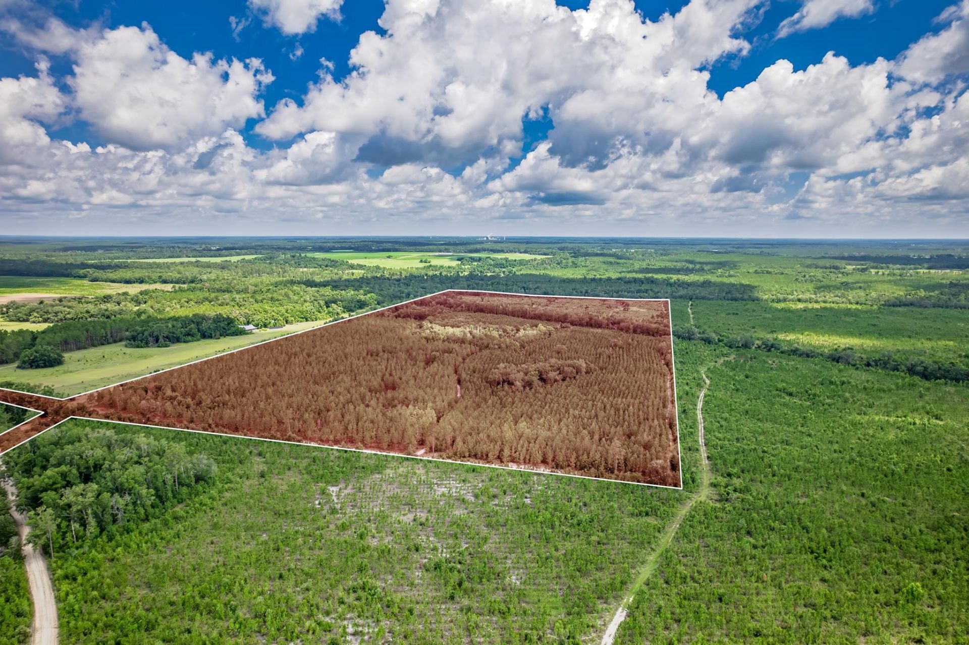 Xxx NE Hickory Grove Road , Pinetta, FL 32350 Photo