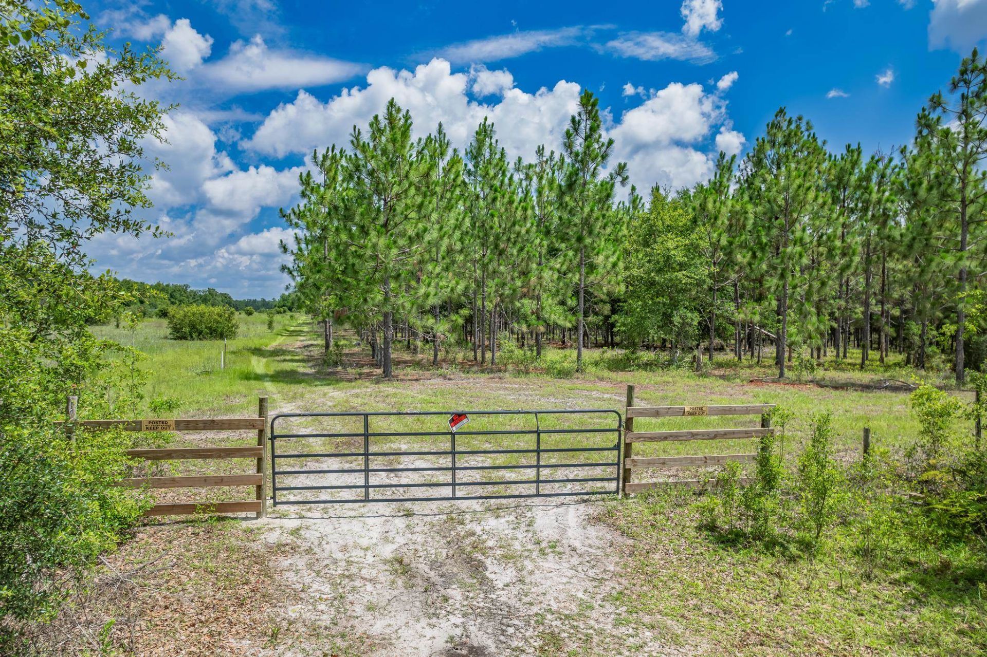 Xxx NE Hickory Grove Road , Pinetta, FL 32350 Photo