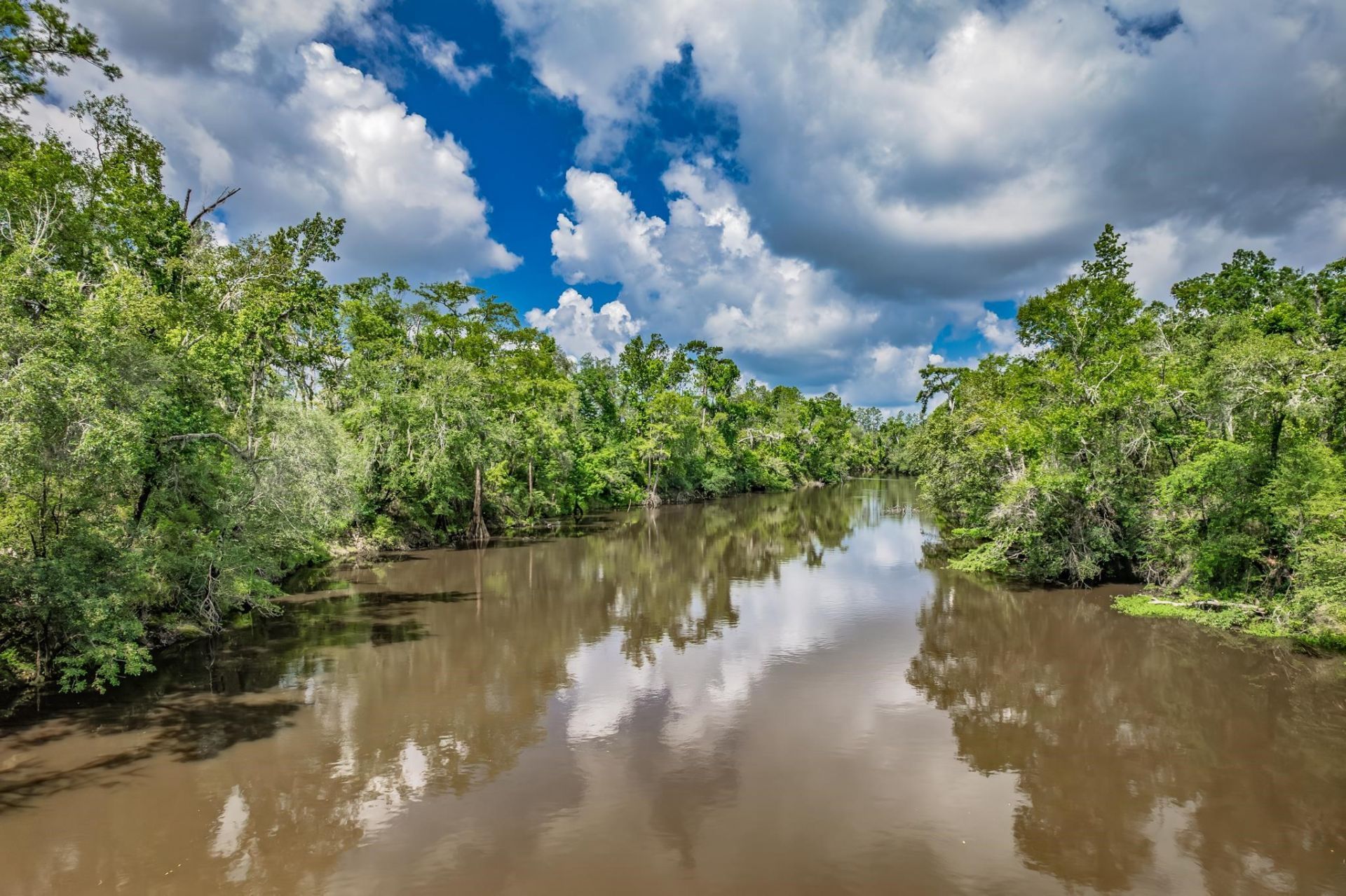 Xxx NE Hickory Grove Road , Pinetta, FL 32350 Photo