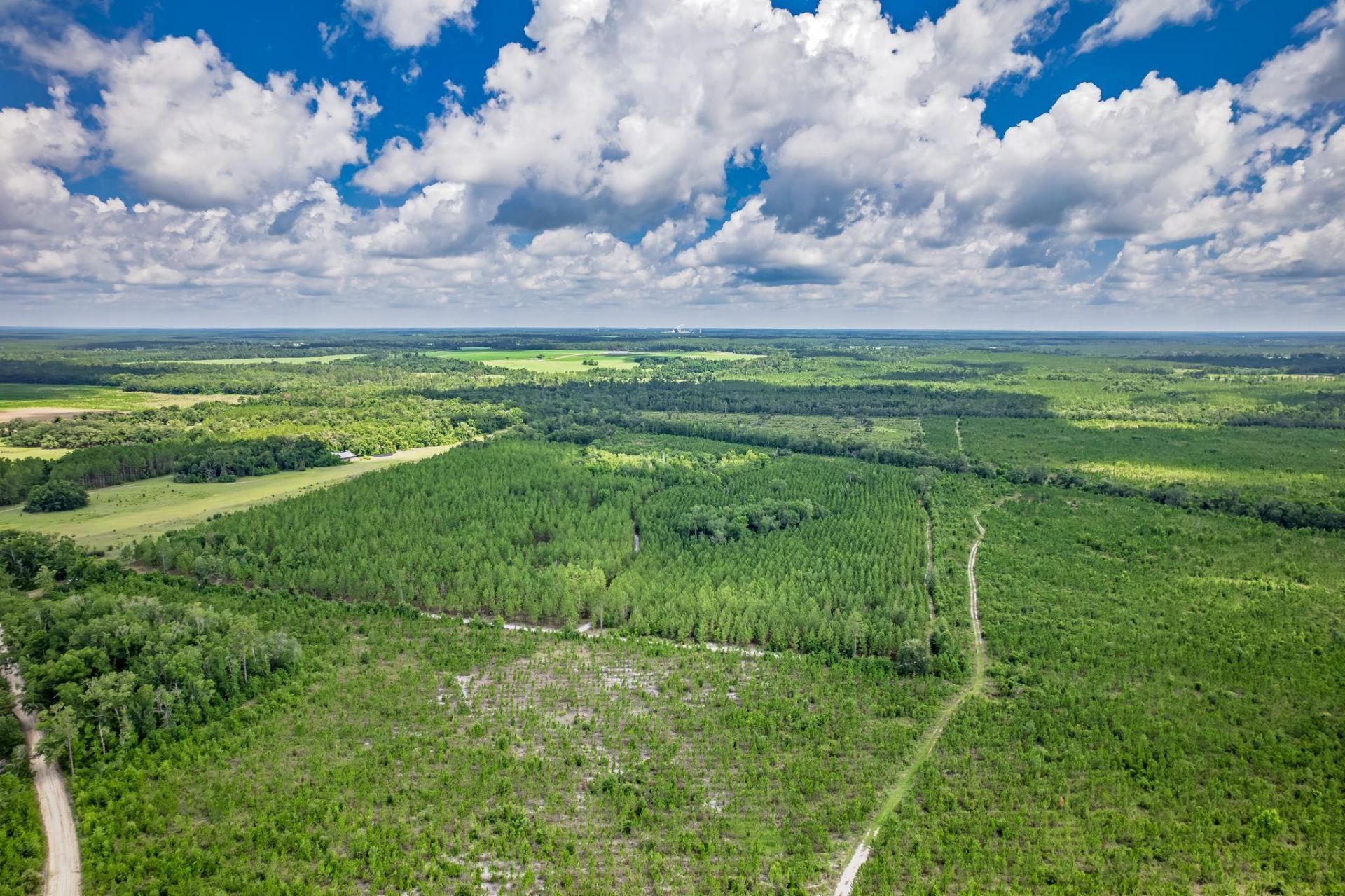 Xxx NE Hickory Grove Road , Pinetta, FL 32350 Photo