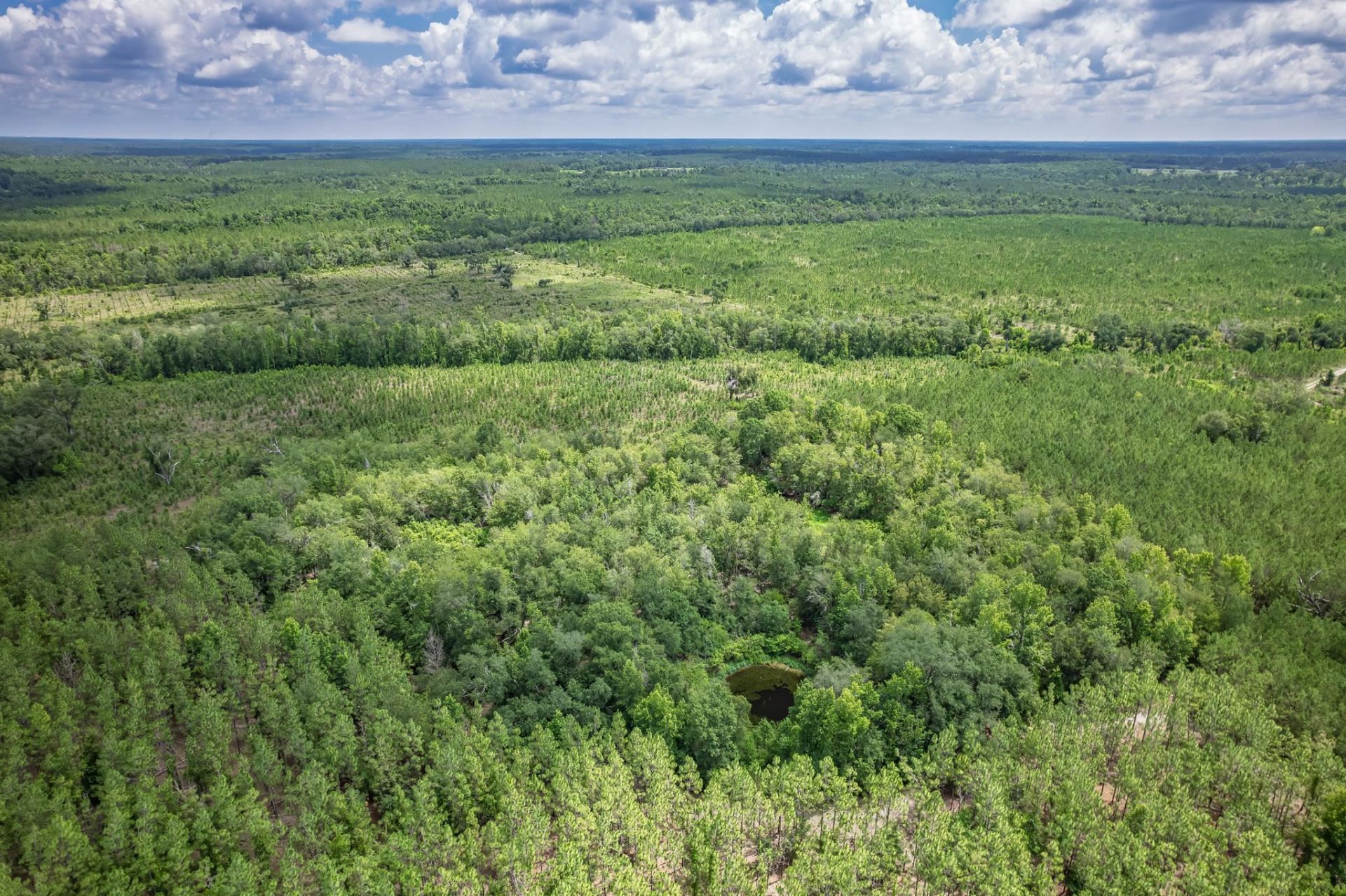 Xxx NE Hickory Grove Road , Pinetta, FL 32350 Photo