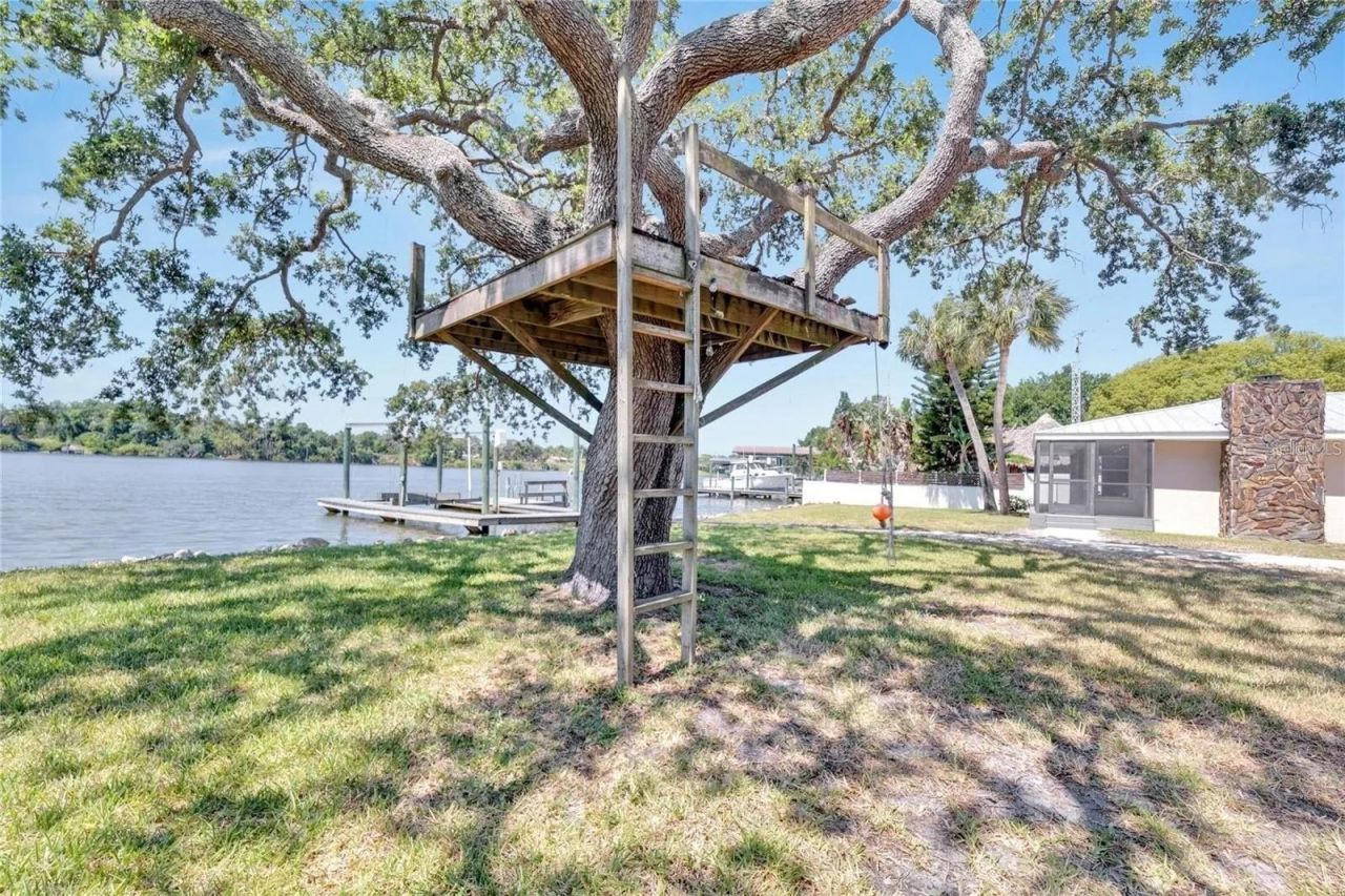 9307 River Cove Drive, Riverview, FL 33578 Photo