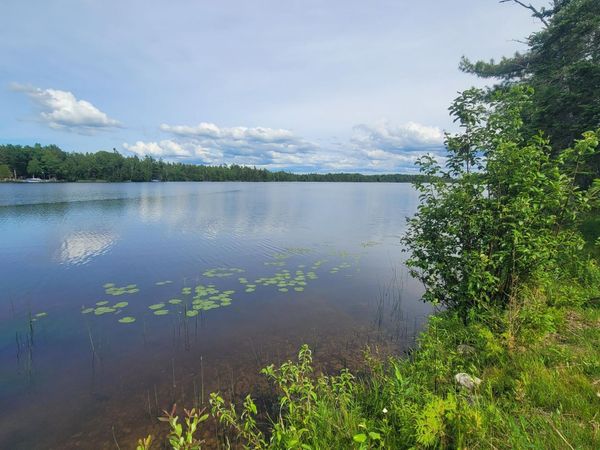 7726 Kleber Road, Onaway, MI 49765