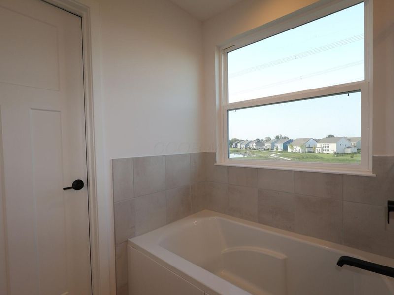 3851 Colts Reign Drive, Powell, OH 43065 Photo 21