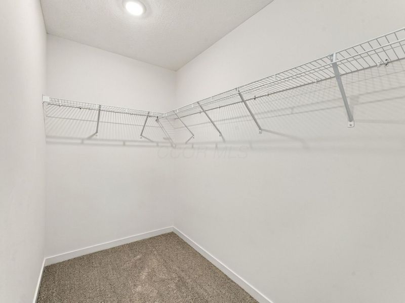 3851 Colts Reign Drive, Powell, OH 43065 Photo 48