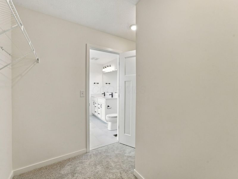 3851 Colts Reign Drive, Powell, OH 43065 Photo 49