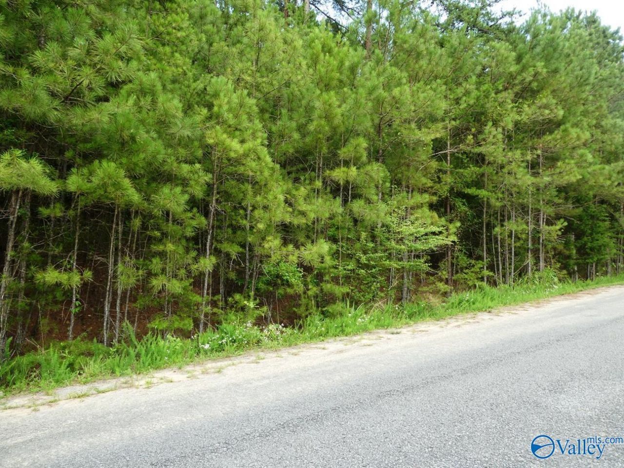 Lot 20 Arley Landing Drive, Arley, AL 35541 Main Photo