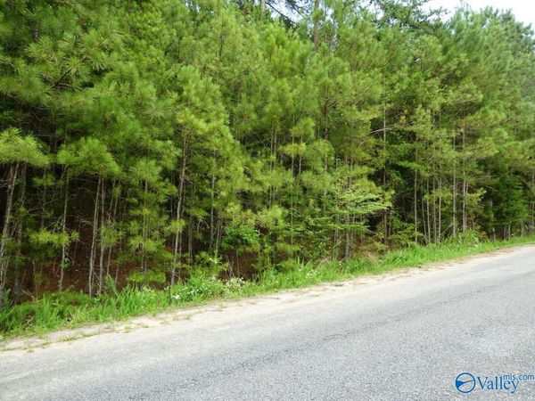 Lot 20 Arley Landing Drive, Arley, AL 35541
